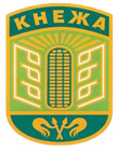 Лого на Община Кнежа